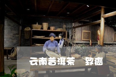 云南普洱茶 致癌/2023041153838